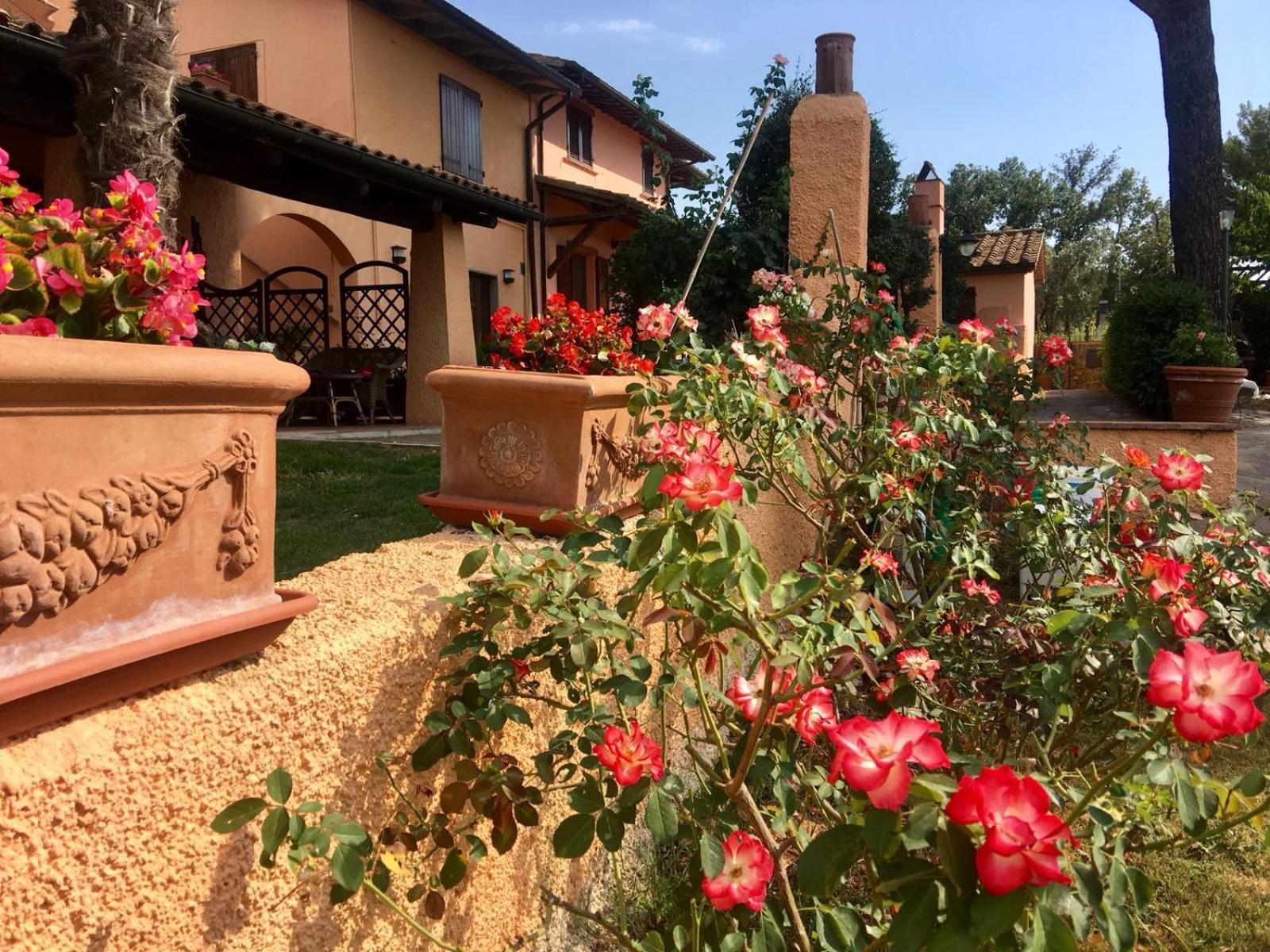 Agriturismo Terranera Scansano Luaran gambar